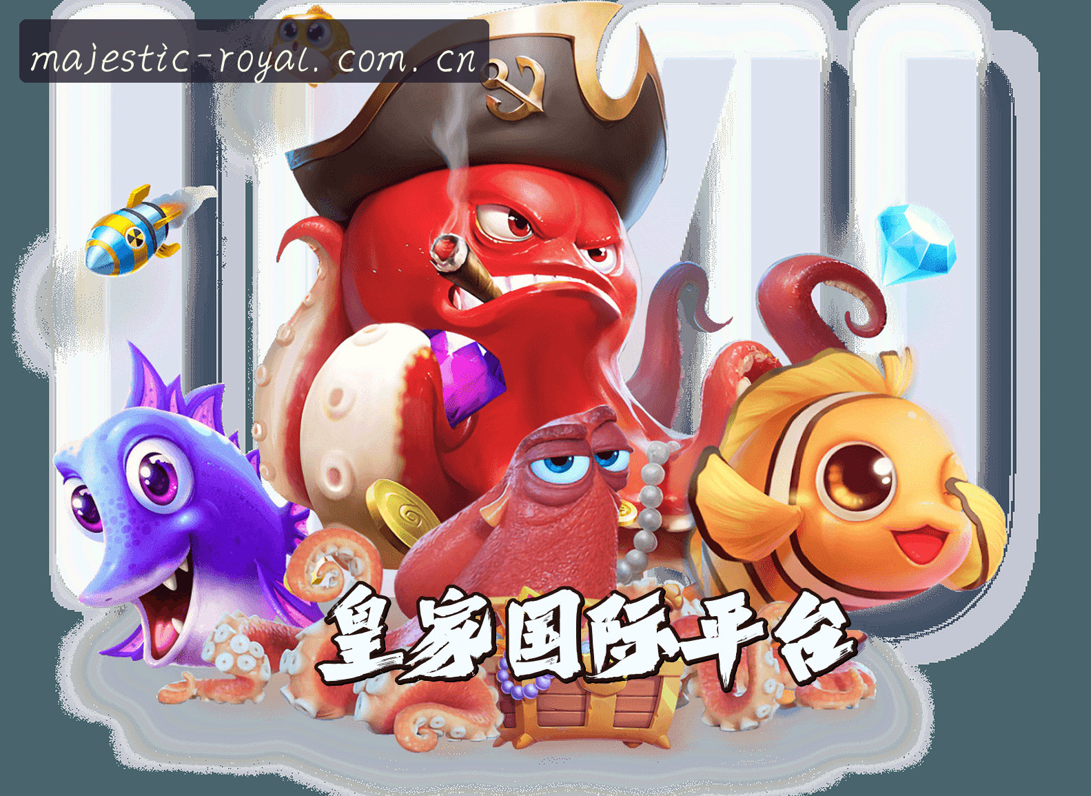 关于我们